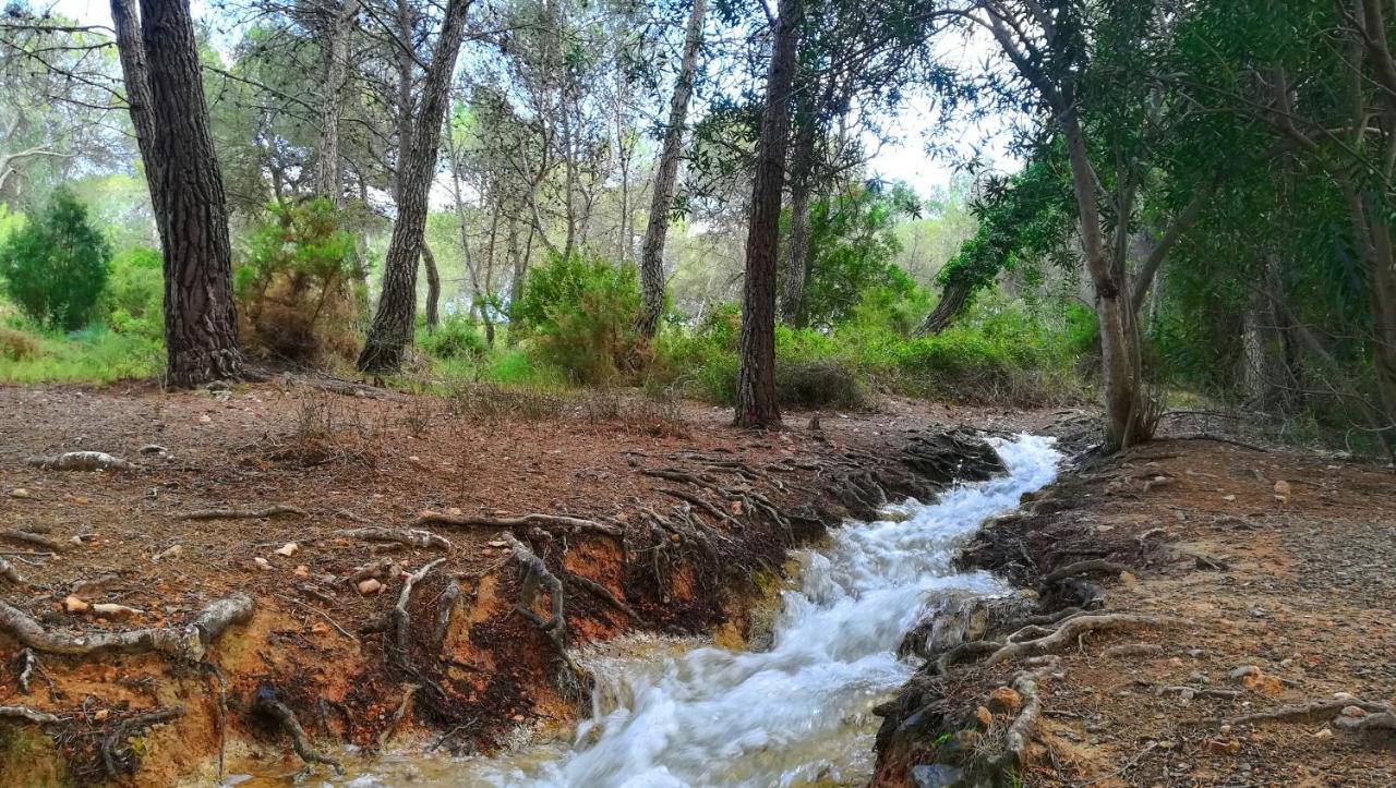 Masia De San Juan Casas Numero 3 Y 5, Con Piscina, Aire Acondicionado Y Vistas A La Montana Segorbe Εξωτερικό φωτογραφία